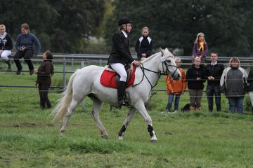 Bild 1422 - WBO-Turnier am 18.9.11